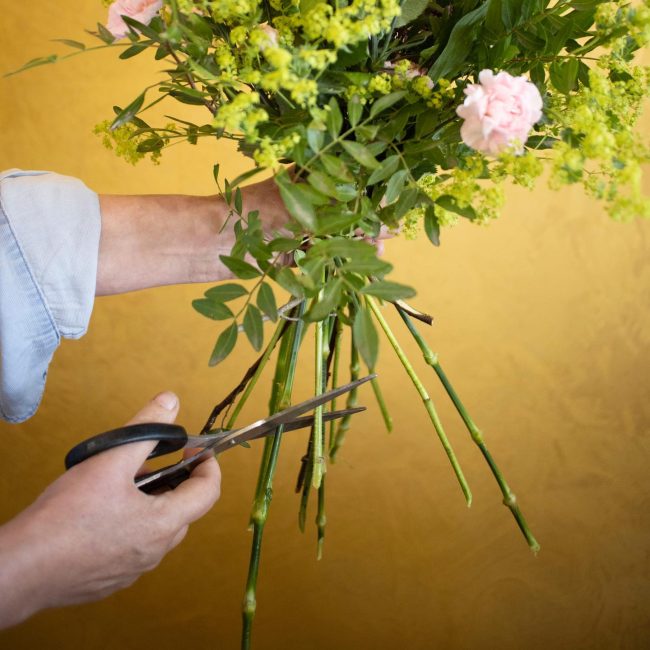 Blumen richtig schneiden by Irmis Blumenhain